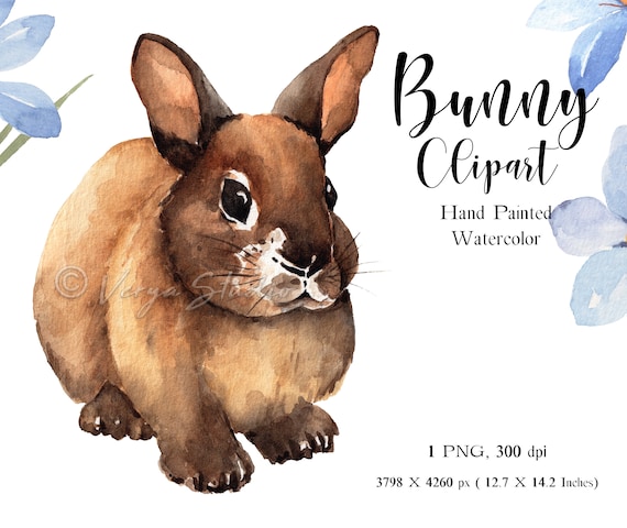 Baby Bunny Print Nursery Decor Nursery Wall Art Baby Shower Gift Personalized Gift for Girls sublimation Watercolor Rabbit Print,PNG