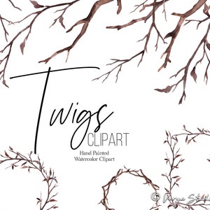 Zweige Clipart Aquarell Zweige Clip Art Rustikal Zweig Grenzen Kränze Rahmen Winter Herbst Frühling Wald Hochzeit Grafiken PNG