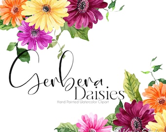 Watercolor Flowers Clipart Gerbera Daisies Floral Clip Art Spring Summer Clipart Wedding Flower Graphics Bouquets Floral Drop PNG