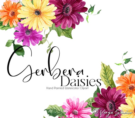 Watercolor Flowers Clipart Gerbera Daisies Floral Clip Art Spring Summer Clipart Wedding Flower Graphics Bouquets Floral Drop PNG