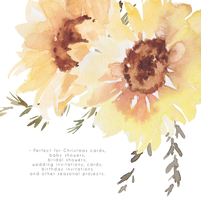 Sunflowers Clipart, Watercolor Fall Floral Clip Art, Yellow Flowers PNG, Summer Autumn PNG, 42 Botanical Elements Bundle image 7