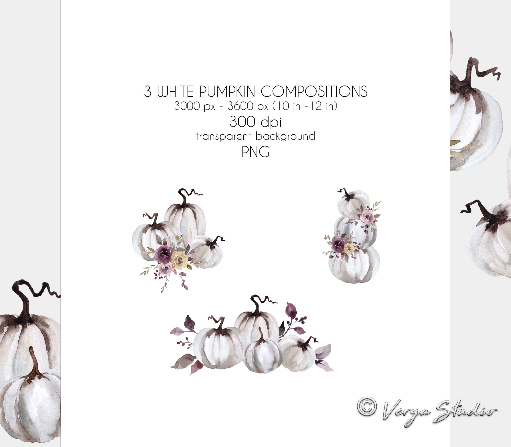 White Pumpkins Clipart Fall Clip Art Autumn Leaves Flowers - Etsy