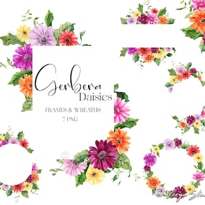 May include: Watercolor illustrations of pink, orange, and yellow gerbera daisies in a variety of arrangements, including wreaths and frames. The text "Gerbera Daisies Frames & Wreaths 7 PNG" is included in the image.