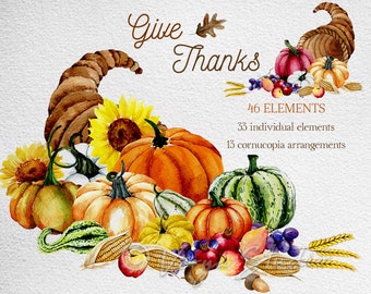Aquarelle corne d'abondance des cliparts, citrouilles des cliparts, clipart automne, clipart de Thanksgiving, clipart corne d'abondance, clipart récolte