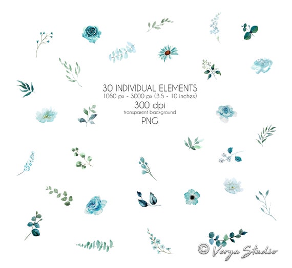 Menta Acuarela Flores Clipart Floral Clip Art Menta Verde - Etsy España Menta Acuarela Flores Clipart Floral Clip Art Menta Verde - Etsy España