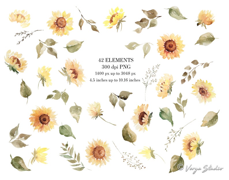 May include: Watercolor illustrations of sunflowers and leaves in shades of yellow, brown, and green. The illustrations are perfect for creating digital or printed designs.