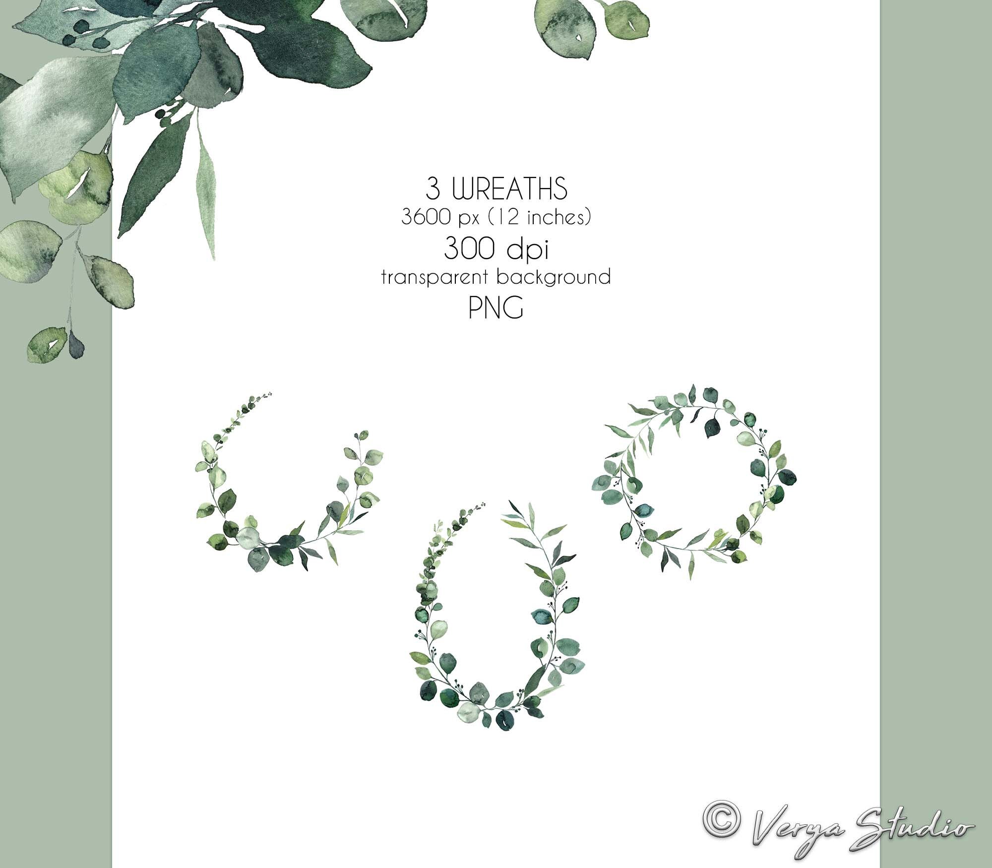 Eucalyptus Clipart Watercolor Greenery Clip Art Baby Blue Eucalyptus ...