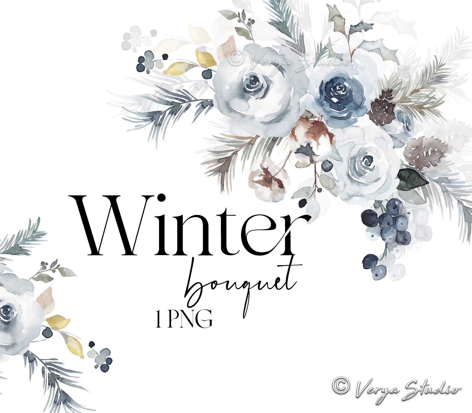 Watercolor Winter Floral Clipart, Watercolor (3095838)