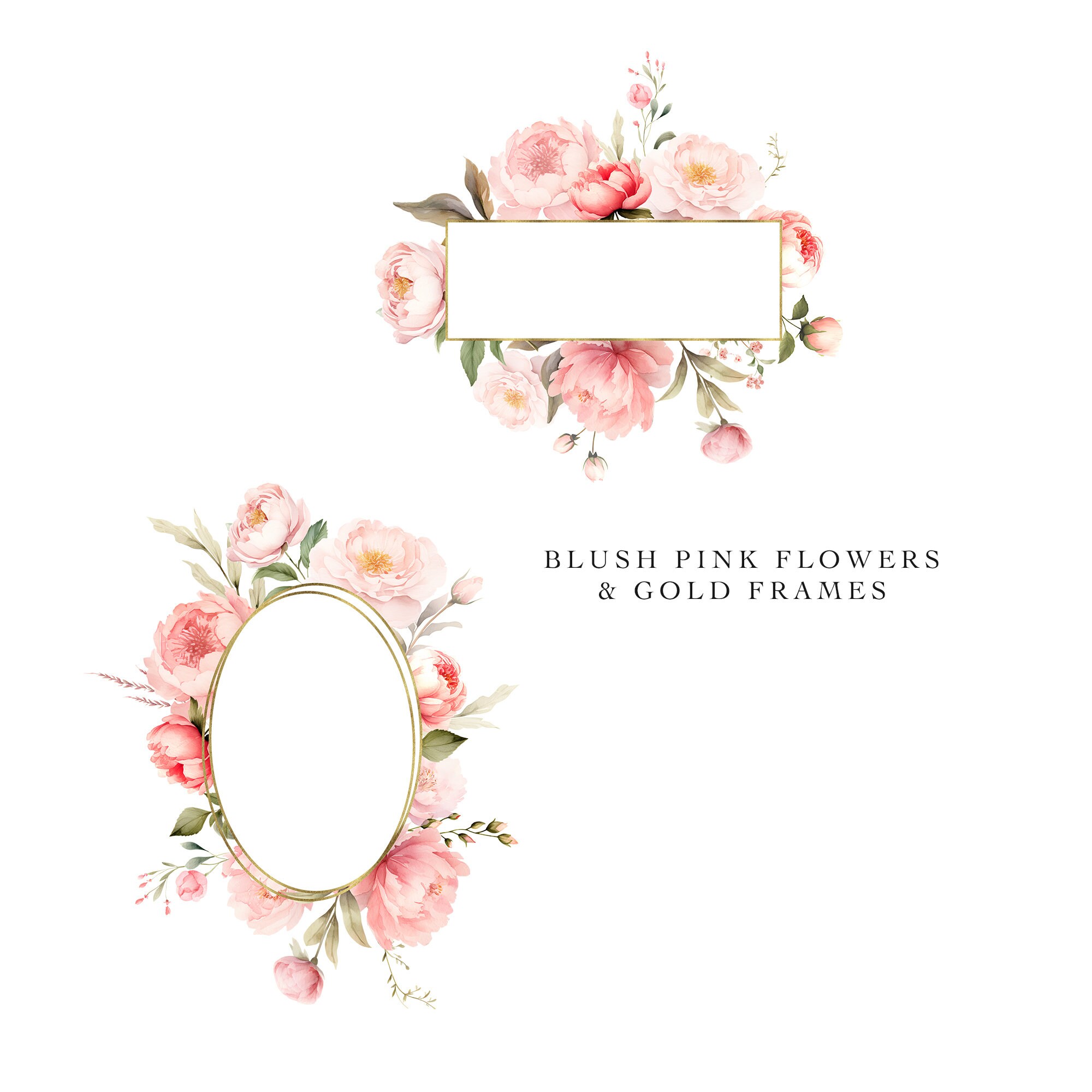 Blush Pink Floral Clipart Watercolor Peonies & Gold Frames Collection ...
