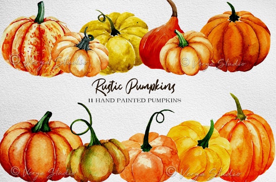 Download Watercolor Pumpkin Harvest Clipart Pumpkins Arrangement Etsy