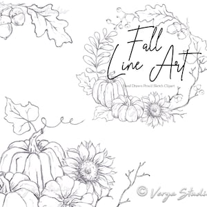 Fall Clipart Autumn Clip Art Hand Drawn Line Art Fall Illustrations Lineart Fall Wreath Leaves Pumpkins Acorns Harvest Pencil Drawings PNG