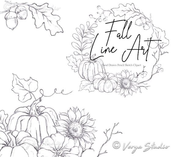 Fall Line Drawing