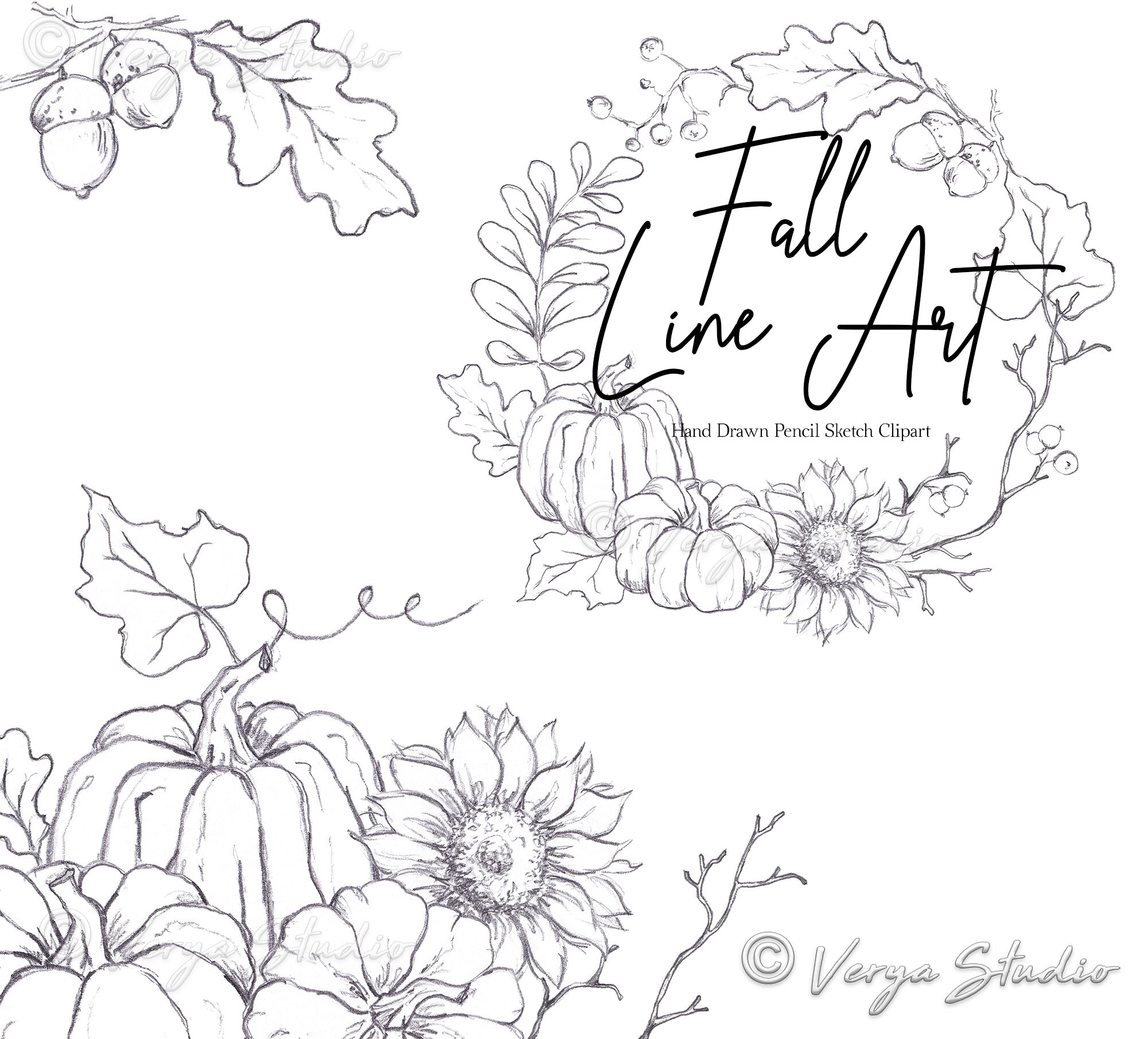 Fall Clipart Autumn Clip Art Hand Drawn Line Art Fall Illustrations Lineart  Fall Wreath Leaves Pumpkins Acorns Harvest Pencil Drawings PNG - Etsy