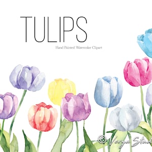 Clipart primaverile Tulipani acquerello Clip Art Clipart pasquale Cornici Bouquet Ghirlanda Bordo Goccia floreale Viola Rosa Giallo Bianco Blu Fiori PNG