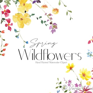 May include: Watercolor illustration of a bouquet of spring wildflowers in shades of yellow, red, purple, and blue. The flowers are arranged in a loose, flowing style, and the background is white. The text "Spring Wildflowers" is written in black cursive script below the flowers. The text "Hand Painted Watercolor Clipart" is written in black below the title.
