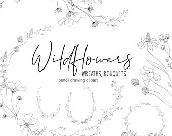 Botanical Lineart Clipart Wildflowers Clipart Floral Line Art Pencil Drawing Herbs Illustrations Minimalist Bouquets Wreath Leaves Flowers