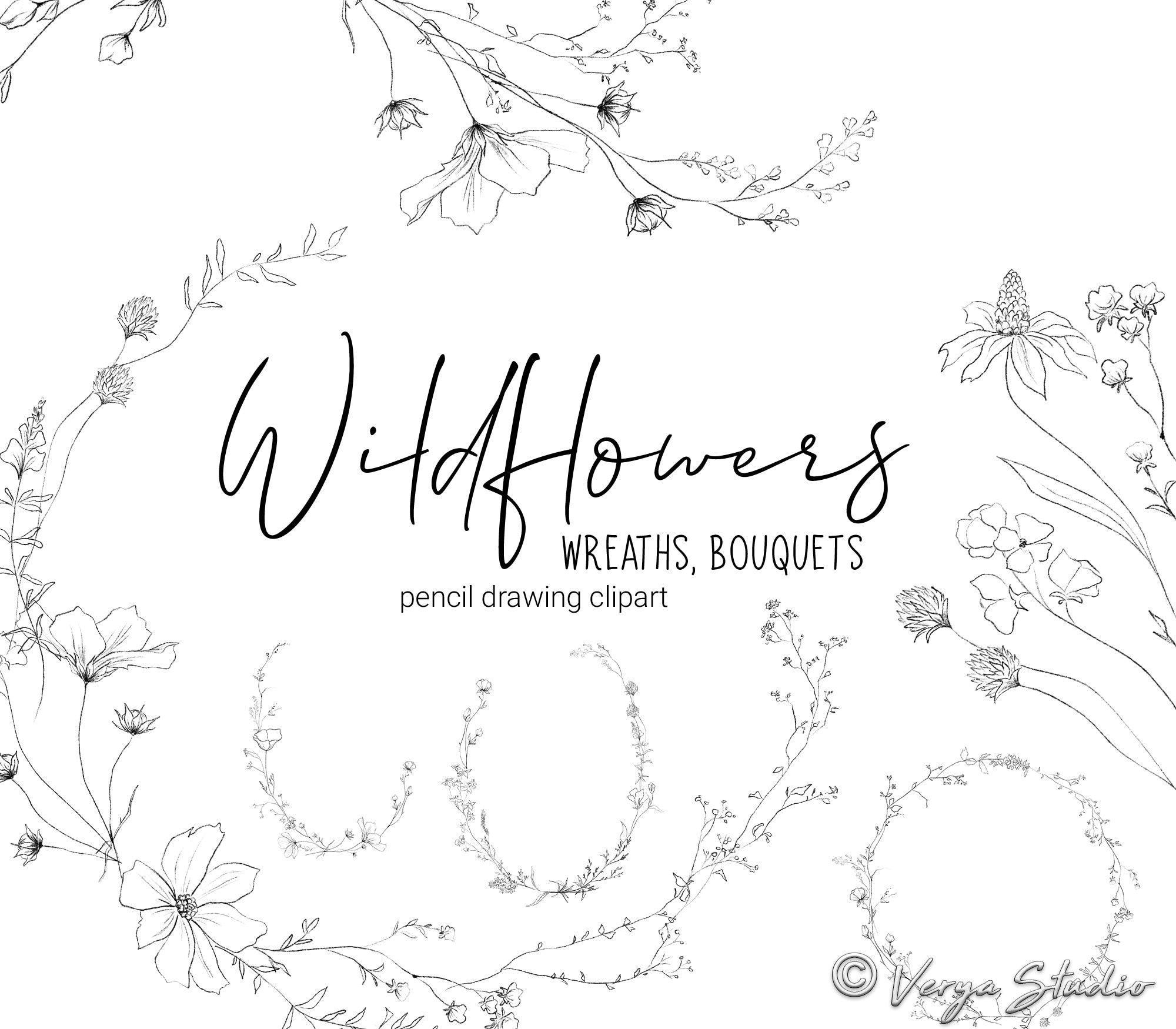 Clipart de arte lineal botánico, clipart de flores silvestres, arte lineal  floral, dibujo a lápiz, ilustraciones de hierbas, ramos minimalistas,  coronas, hojas y flores. - Etsy México, image size:2000x1750