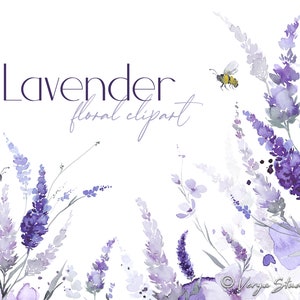 Clipart Lavanda Acquerello Clip Art Floreale Viola Lilla Fiori Viola Botanico Verde Primavera Api Grafica Matrimonio Bouquet Cornice PNG