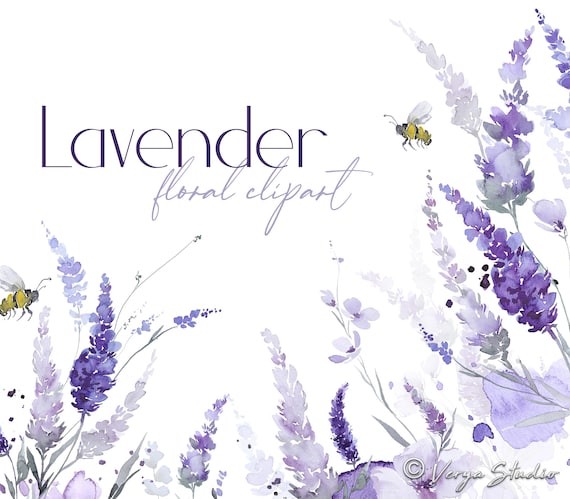 Lavender Clipart Watercolor Floral Clip Art Purple Lilac Violet Flowers Botanical Greenery Spring Bees Wedding Graphics Bouquet Frame PNG