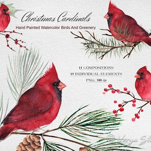 Aquarelle Noël Cardinal rouge Clipart, clipart Noël, clipart vacances, cliparts de cartes de Noël, oiseau d'hiver, cartes de voeux, PNG