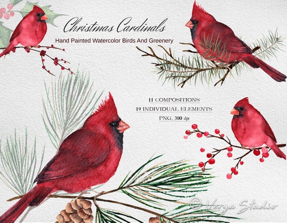 Watercolor Christmas Red Cardinal Clipart Christmas Clip Art Etsy