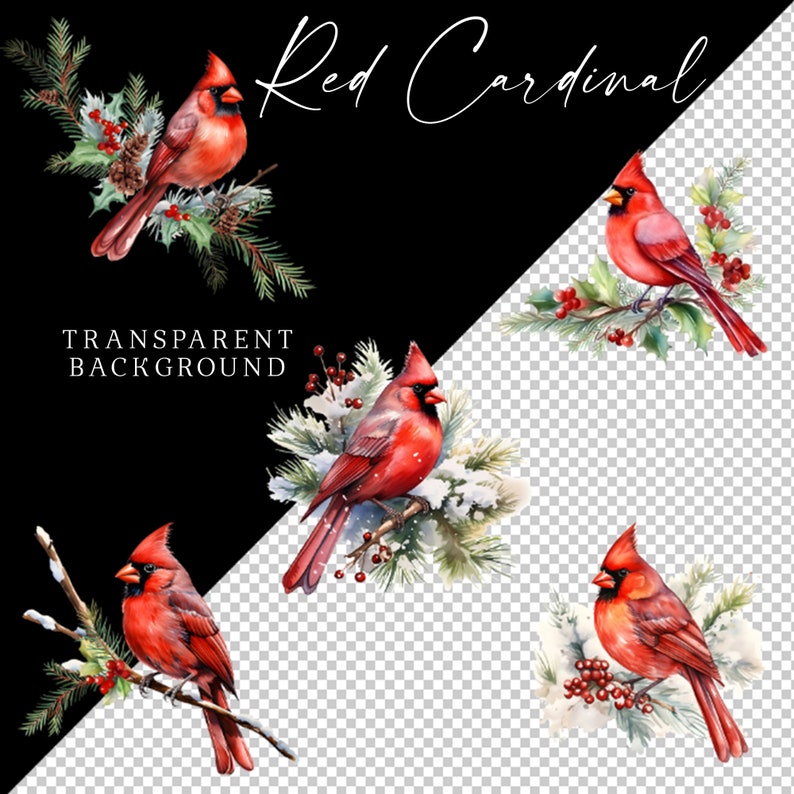 Christmas Clipart Red Cardinal Watercolor Clip Art Berries Pine Cones ...