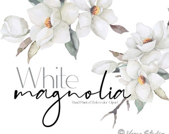Images clipart de magnolia blanc, aquarelle florale PNG, fleurs crème, bouquets printaniers ivoire, branches de verdure botanique, graphismes de mariage