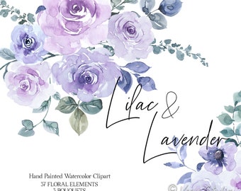 Clipart di fiori di lavanda lilla acquerello Clipart di fiori viola chiaro Clipart di nozze primaverili ed estive Clipart di addio al nubilato Grafica dipinta a mano PNG