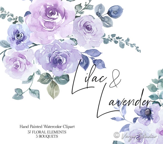 Lila Lavanda Acuarela Flores Clipart Púrpura Claro Floral Clip - Etsy México