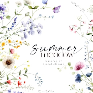 Sierlijke wilde bloemen clipart aquarel bloemen clip art premade boeketten rand bruiloft graphics lente zomer weide kleine bloem bruiloft bruiloft, PNG