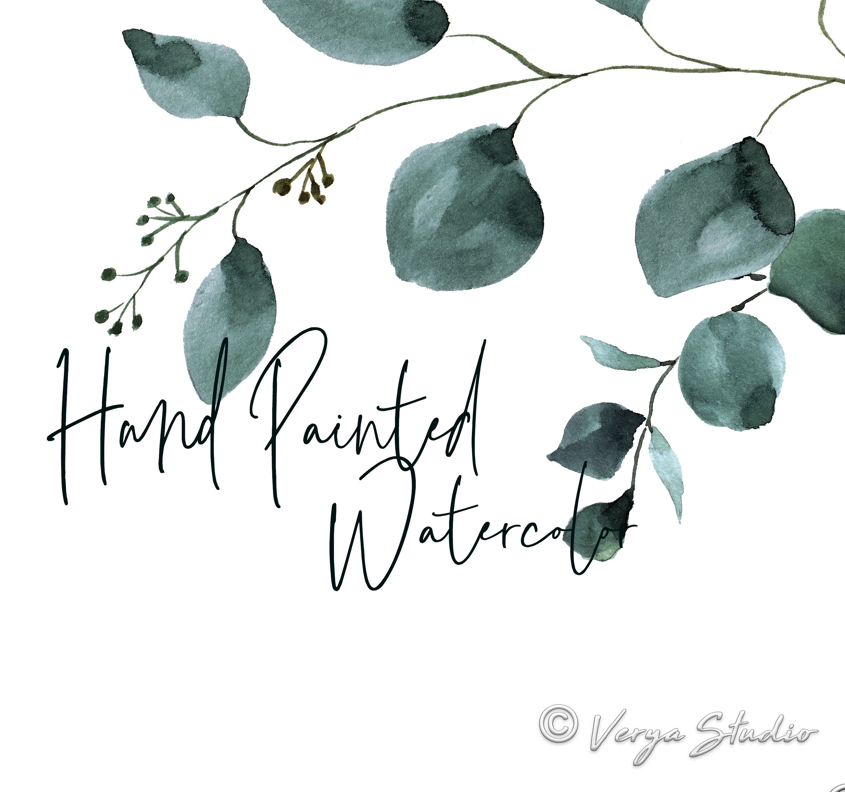 Watercolor Eucalyptus Greenery Clipart Floral Clip Art - Etsy
