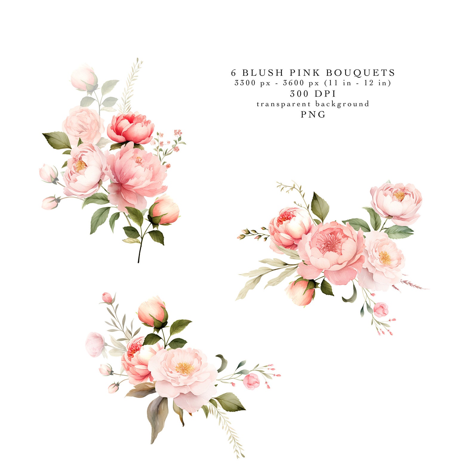 Blush Pink Floral Clipart Watercolor Peonies Bouquets Clip Art ...