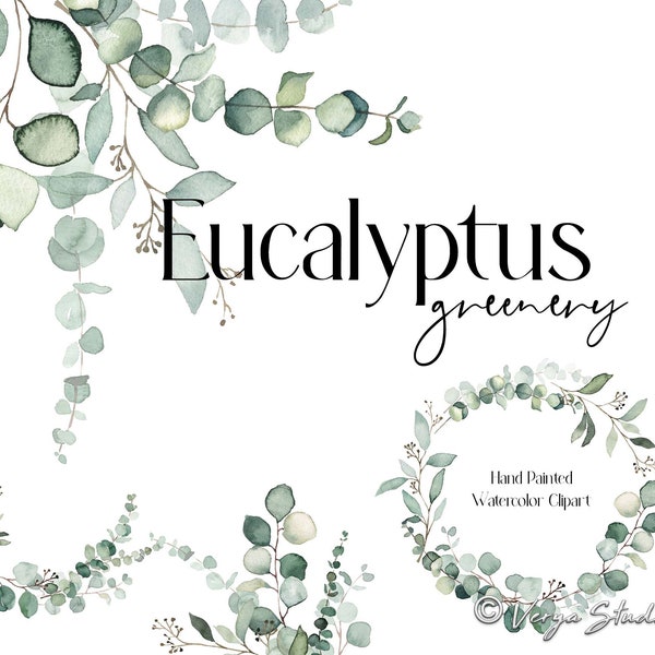 Greenery Clipart Eucalyptus Clip Art Watercolor Foliage Clipart Green Leaves Sage Green Baby Blue Gum Silver Dollar Eucalyptus Botanical PNG