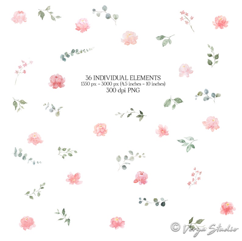 Pink Peonies Watercolor Flowers Clipart Blush Coral Floral Clip Art ...