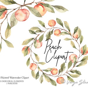 Clipart di pesca Clipart di frutta ad acquerello Clipart di ghirlanda di frutta di pesca Clipart di frutta estiva Clipart di ghirlanda di albicocche Ghirlanda di pesche Grafica di nozze PNG