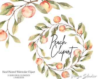 Peach Clipart Watercolor Fruit Clipart Peach Fruit Wreath Clip Art Summer Fruits Clipart Apricot Wreath Peaches Wreath Wedding Graphics PNG