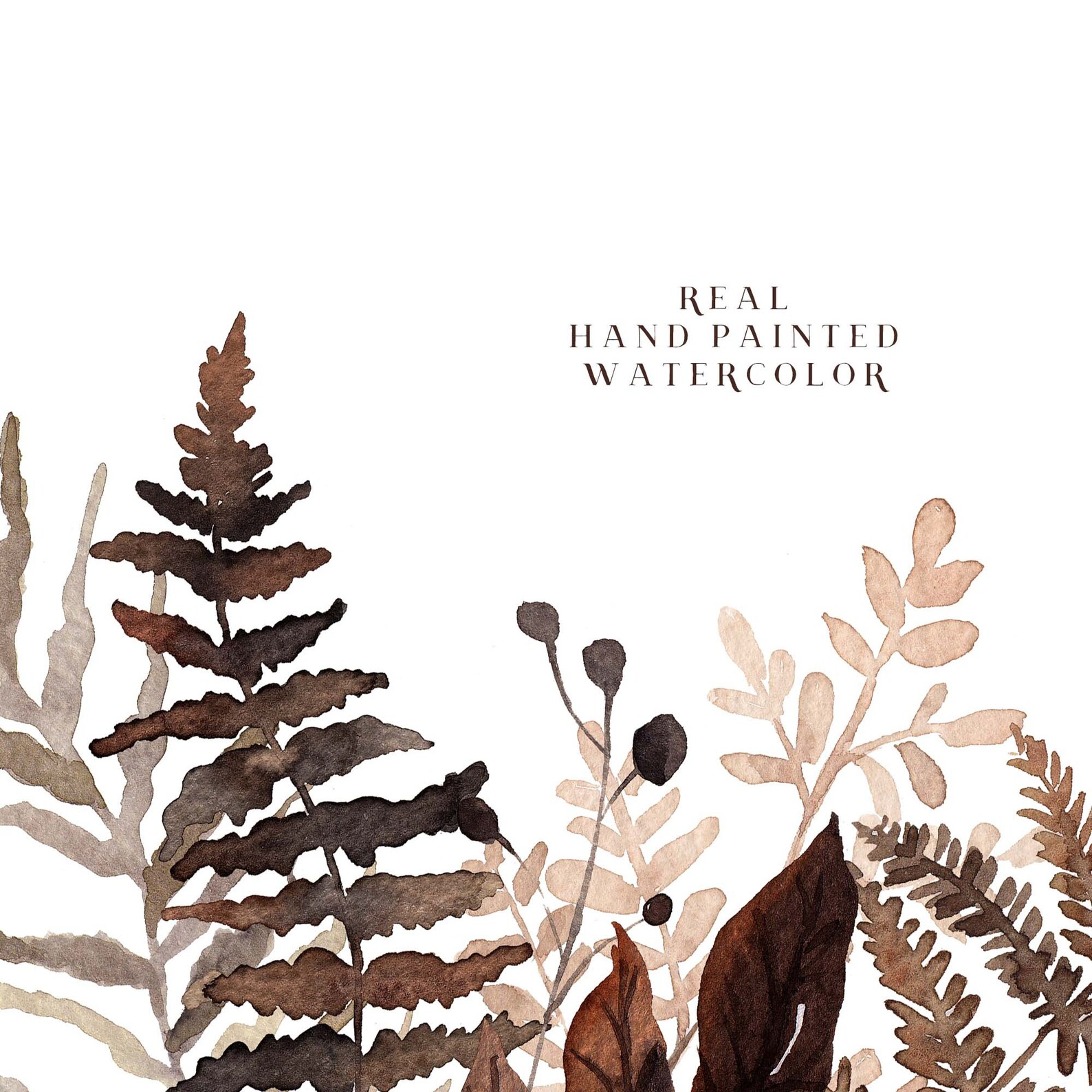 Fern Frame Graphics Fern Fall Frames Clipart Watercolor Autumn Clip Art Neutral Foliage ...