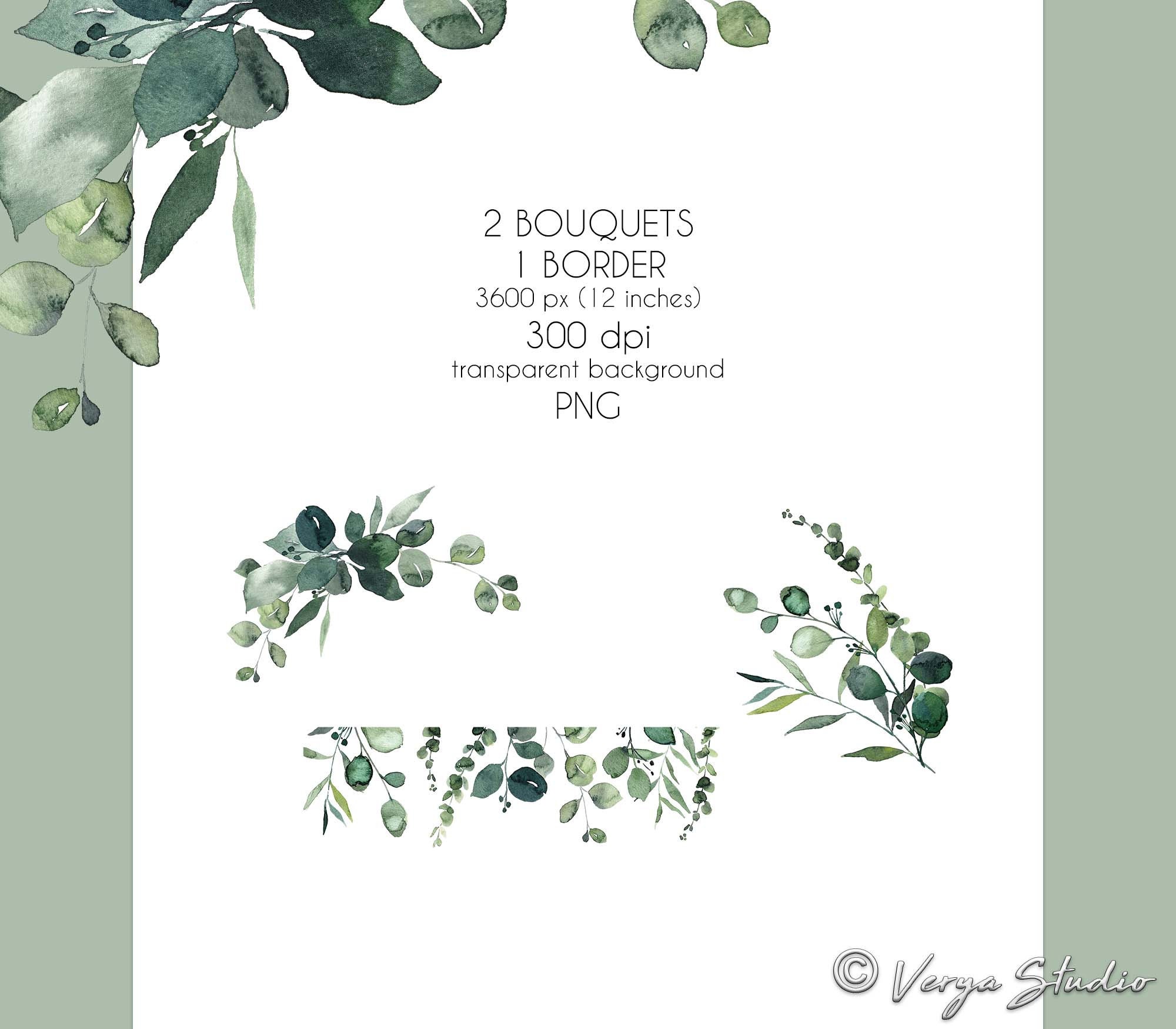 Eucalyptus Clipart Watercolor Greenery Clip Art Baby Blue Eucalyptus ...