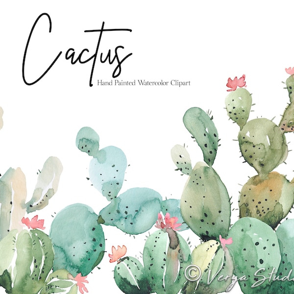 Cactus Clipart Watercolor Cacti Clip Art Summer Clipart Hand Painted Cacti Frames Border Succulents Clipart Wedding Graphics Tropical Desert