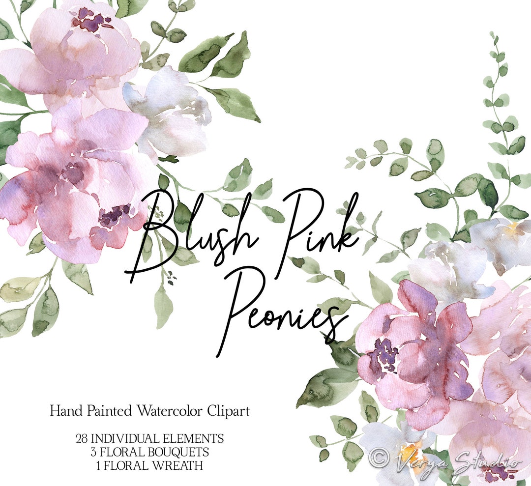 Blush Pink Peonies Watercolor Flowers Clipart Spring Clipart Wedding ...