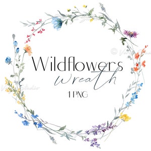Clipart de coroa de flores silvestres, aquarela floral, coroa de flores silvestres, moldura de flores do campo, clipart de casamento, moldura de flores minúsculas PNG