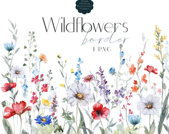 Wild Flower Floral Border - Watercolor Floral Clipart, Meadow Flowers, Wildflowers Clipart, Summer Flowers, Wedding Flowers Graphics PNG