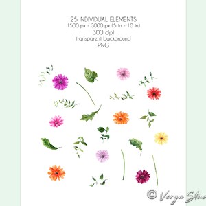 May include: 25 individual watercolor illustrations of flowers and leaves. The flowers are in shades of pink, orange, yellow, and red. The leaves are green. The illustrations are on a transparent background.