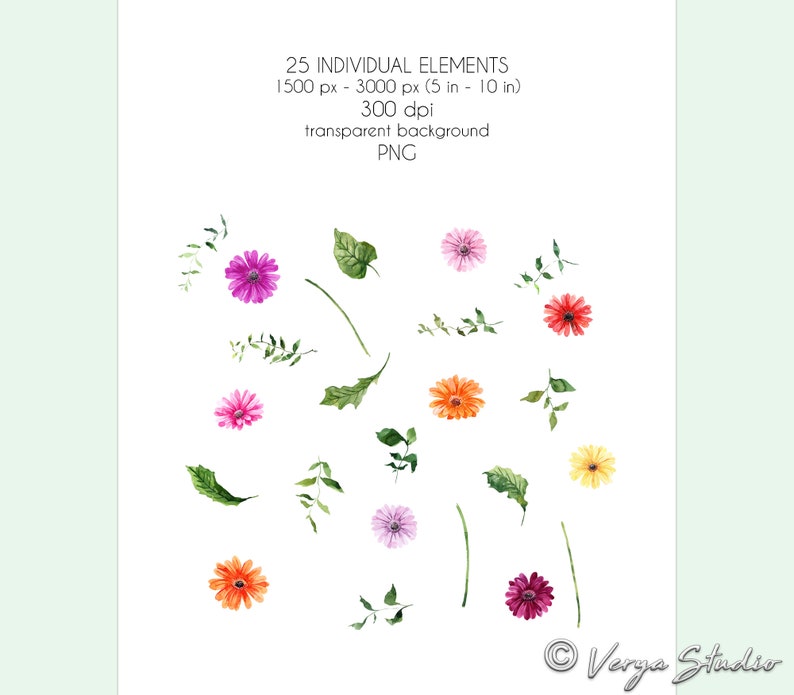 May include: 25 individual watercolor illustrations of flowers and leaves. The flowers are in shades of pink, orange, yellow, and red. The leaves are green. The illustrations are on a transparent background.
