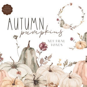 Fall Clipart Watercolor Autumn Pumpkins Clip Art Set Fall Leaves Wildflowers Wreath Arrangement Neutral White Orange Green Beige Pumpkin PNG