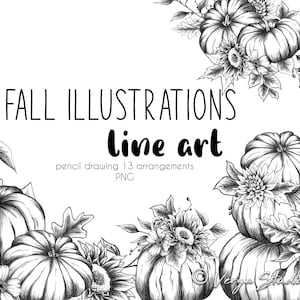 Clipart automne Clipart automne Dessin au trait crayon Arrangements Compositions Citrouilles feuilles fleurs Tournesols Mariage Action de grâces PNG