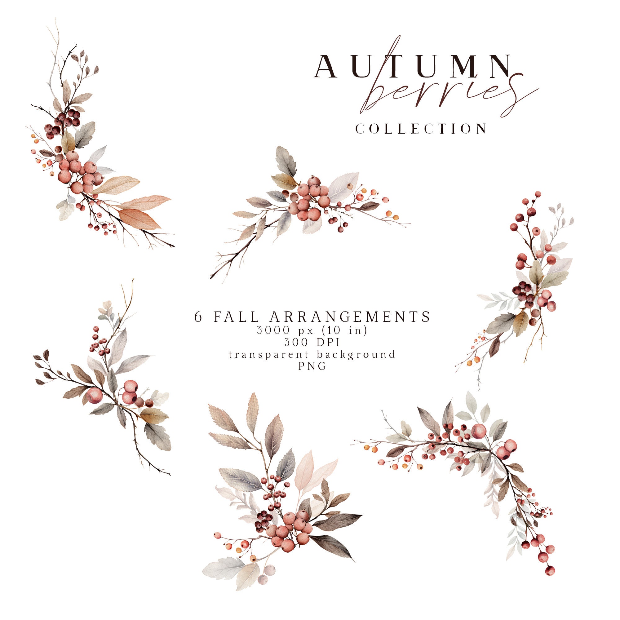 Autumn Berry Wreath Clipart Watercolor Fall Clip Art Berries Leaves ...