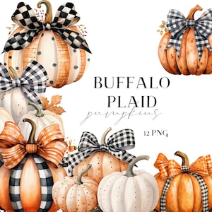 Fall Clipart 12 Pumpkin Clip Art PNG Halloween White Orange Pumpkins Gingham Black Buffalo Plaid Checkered Bows Ribbons Autumn Decor Digital