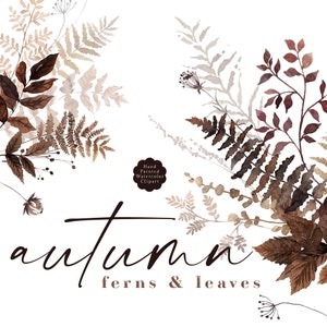 Feuilles d'automne fougères bohèmes Clipart fougères séchées aquarelle botanique Clip Art feuillage d'automne marron Beige verdure neutre mariage graphiques PNG