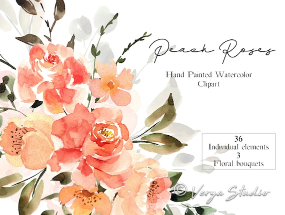 Peach Roses Watercolor Floral Clipart Loose Coral Flowers - Etsy
